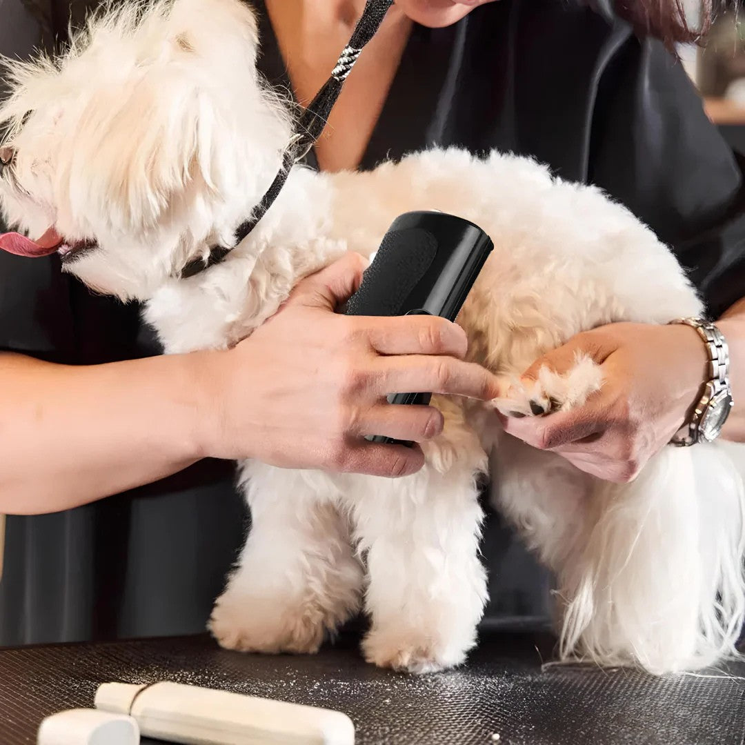 EasyBrush™ - Brosse anti-poils de chien