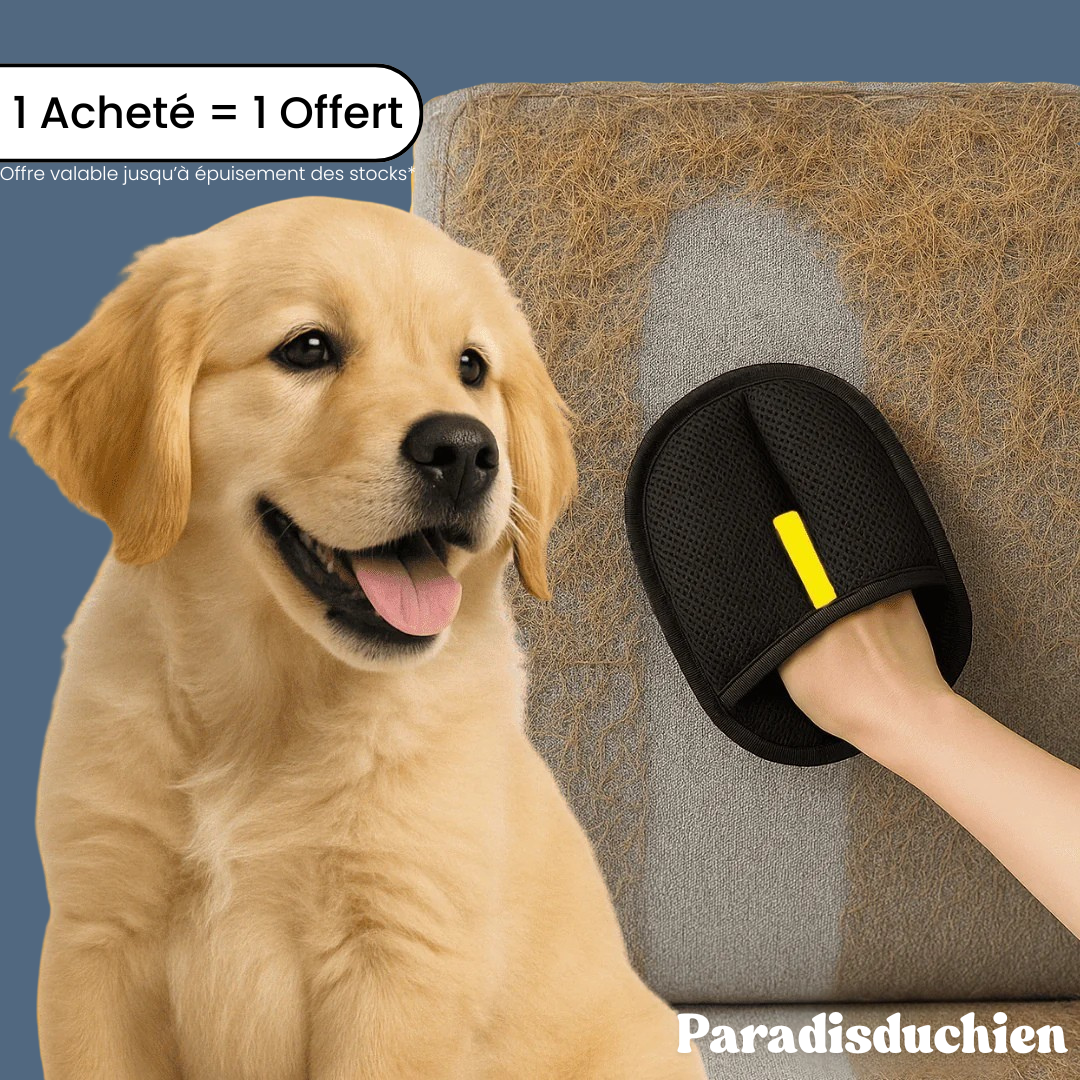 HairClean™ - Gant statique anti-poils