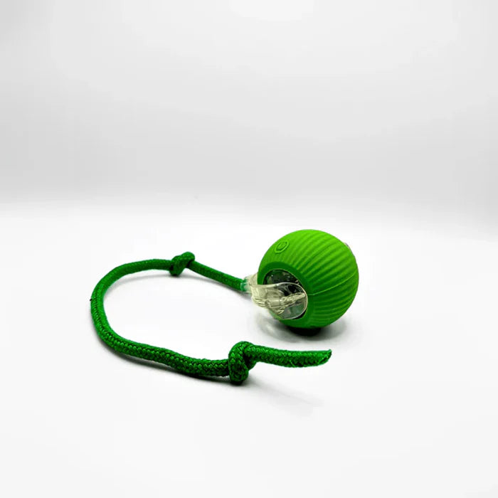 ChaseBall™ - Jouet interactif pour chien