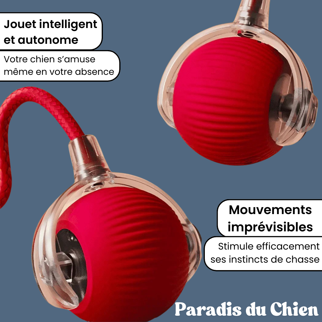 ChaseBall™ - Jouet interactif pour chien