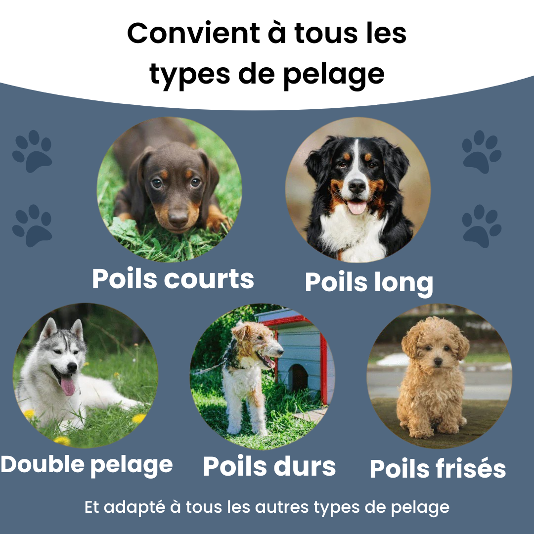 EasyBrush™ - Brosse anti-poils de chien