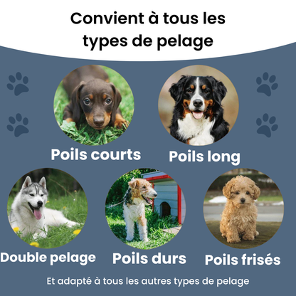 EasyBrush™ - Brosse anti-poils de chien