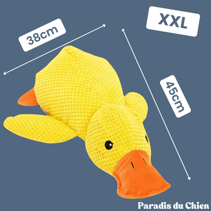 CanardZen™ - Canard anti-stress