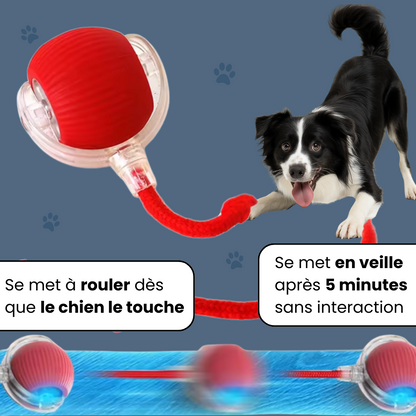 ChaseBall™ - Jouet interactif pour chien