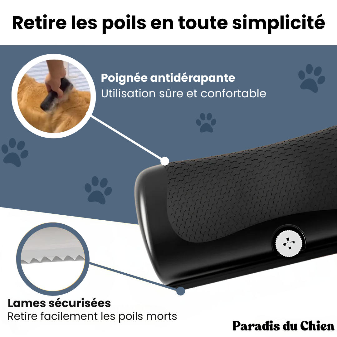 EasyBrush™ - Brosse anti-poils de chien