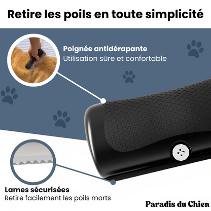 EasyBrush™ - Brosse anti-poils de chien