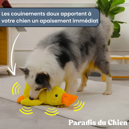 CanardZen™ - Canard anti-stress