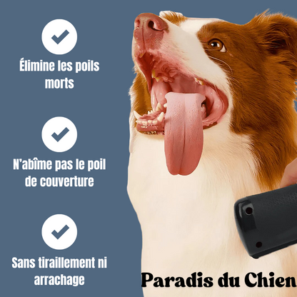 EasyBrush™ - Brosse anti-poils de chien