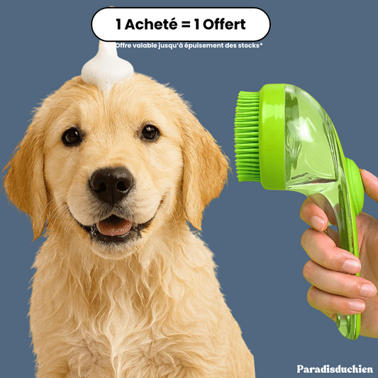 CleanBuddy™ - Brosse massante et nettoyante