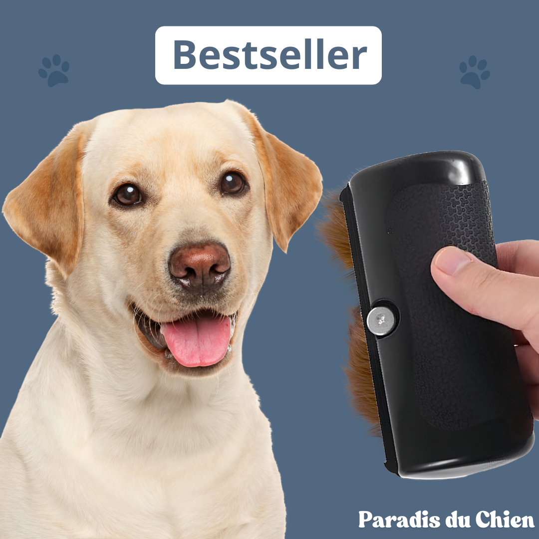 EasyBrush™ - Brosse anti-poils de chien