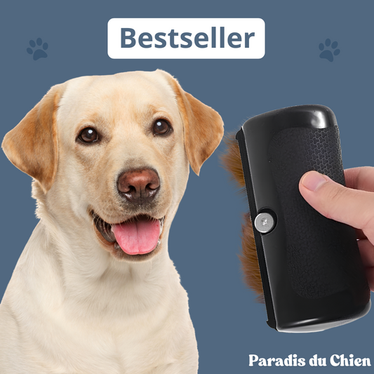 EasyBrush™ - Brosse anti-poils de chien