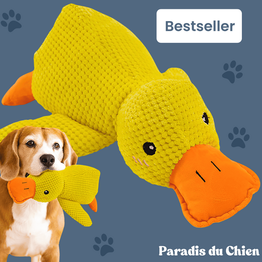 CanardZen™ - Canard anti-stress