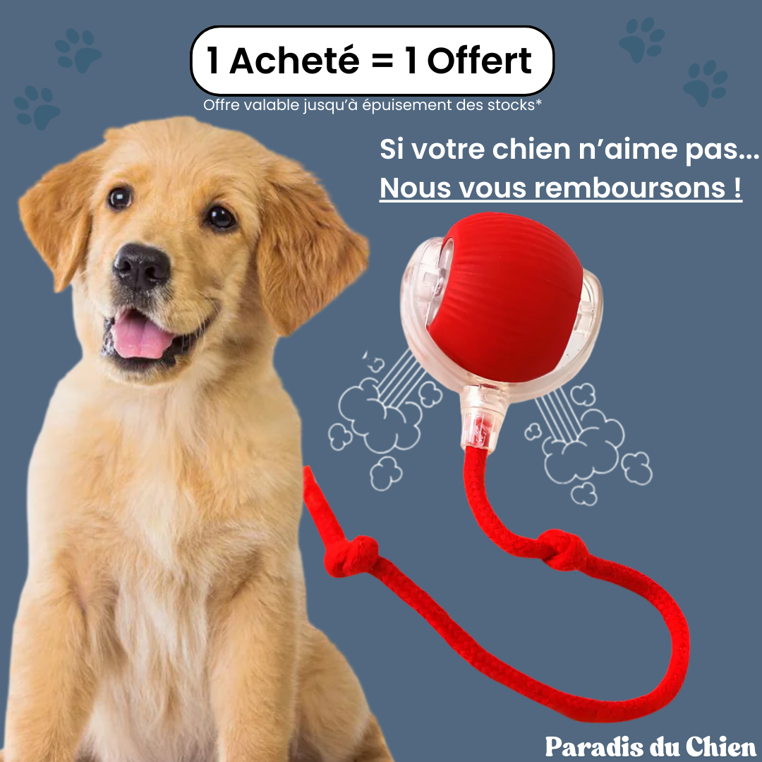 ChaseBall™ - Jouet interactif pour chien