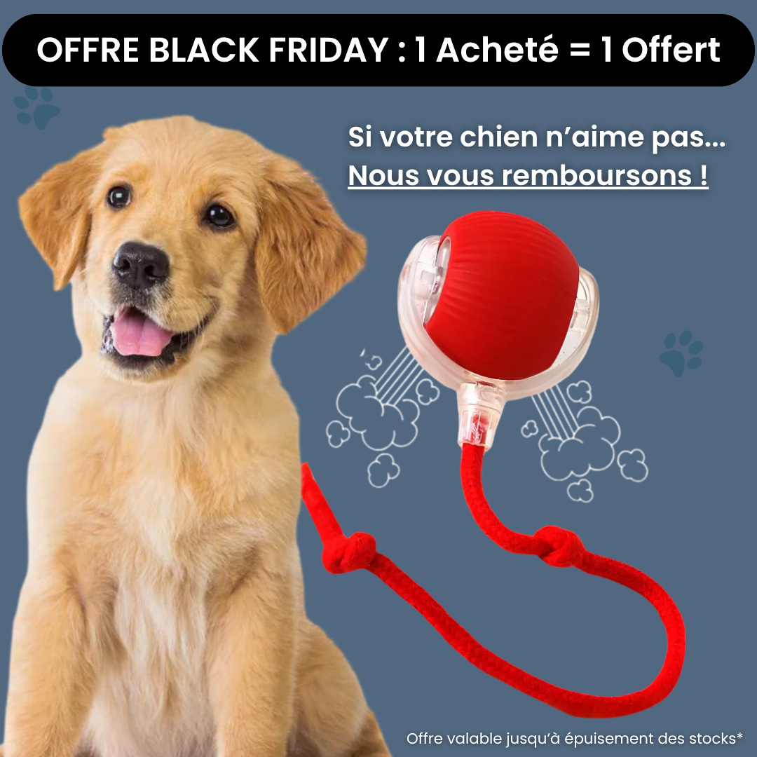 ChaseBall™ - Jouet interactif pour chien