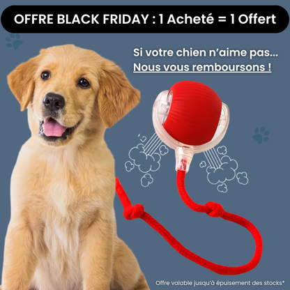 ChaseBall™ - Jouet interactif pour chien