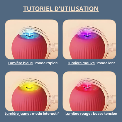 ChaseBall™ - Jouet interactif pour chien