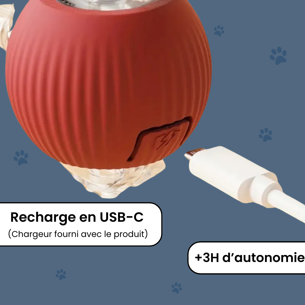 ChaseBall™ - Jouet interactif pour chien