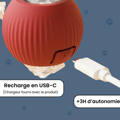 ChaseBall™ - Jouet interactif pour chien